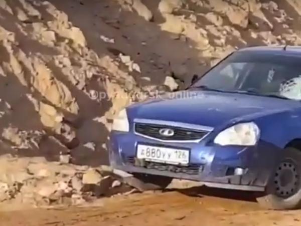 На Медовых водопадах лошадь копытом повредила лобовое стекло «Приоры»